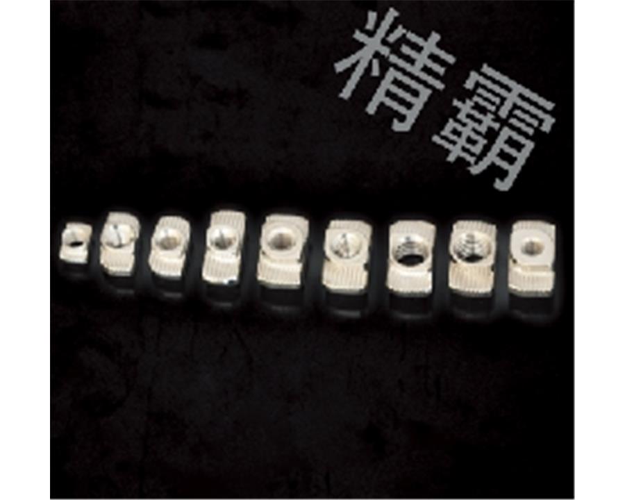 淮安精霸-T型螺母塊